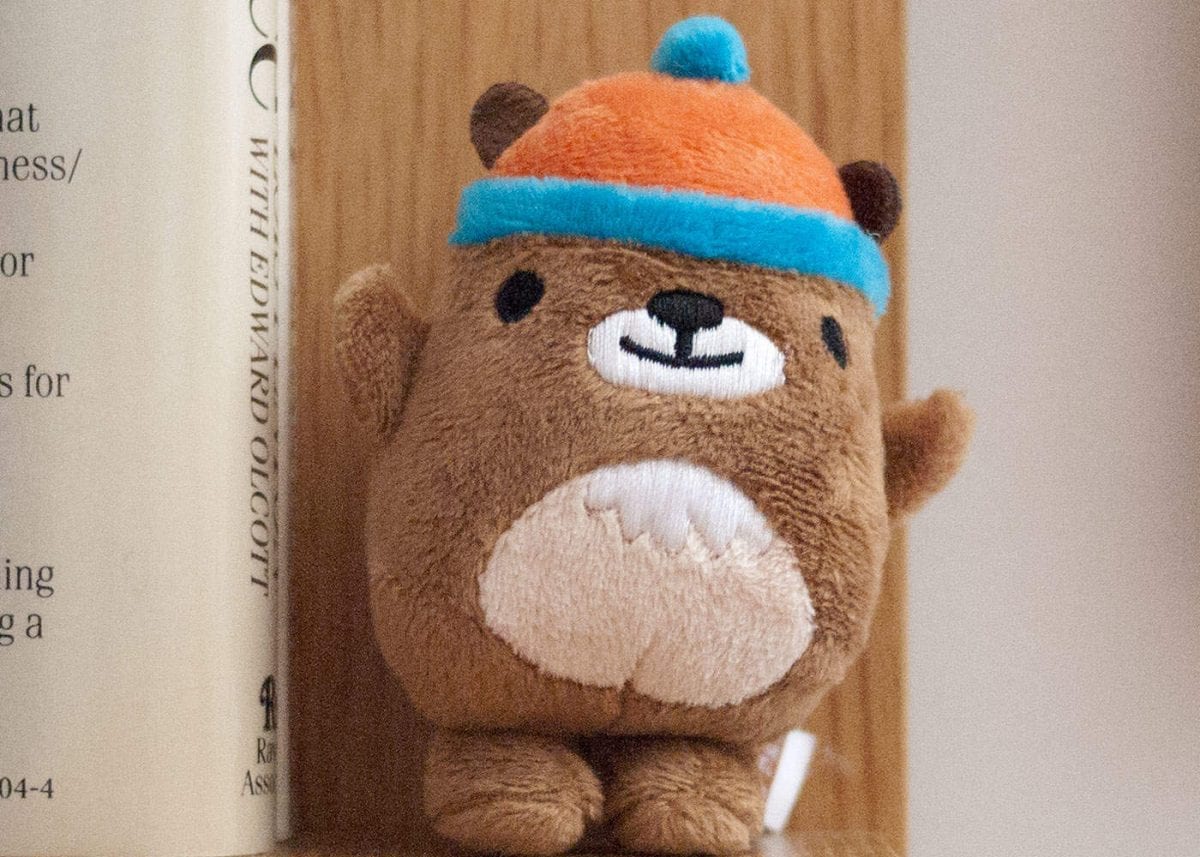 Panasonic GF1 - ISO 1600